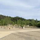 패밀리농장 | 경북 포항 신생 캠핑장 서숲 오토캠핑장 패밀리 사이트 후기