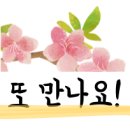 에스에스피 이미지