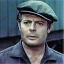 선플라워 이미지