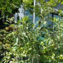 엉클피시방 이미지