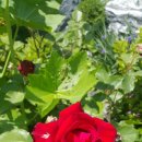 연희네집 이미지