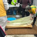 여주축산업협동조합 | 여주흥천남한강벚꽃축제(~4.12까지) 주차, 먹거리, 이벤트, 기차 탑승