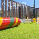 베일리애견풀빌라펜션