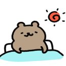 노체부어 이미지