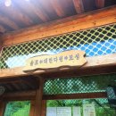 보성향토시장정류장(옥외) | [보성 여행] 대한 다원 보성 녹차밭의 모든 것 (여행 꿀팁) 🍵🍃
