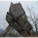 모악산도립공원 Daum카페