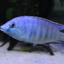 임프레스 이미지