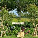 토프레소(장성황룡강점) 탕수떡볶이(황룡강점) | [장성 여행] 광주근교 나들이 포토존 많은 '황룡강생태공원' (feat. 주차장, 토프레소 이용후기)