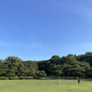 [서울 올림픽공원] 트라토리아 브로도