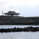 조천연대 이미지