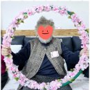 감동주야간보호센터 이미지