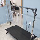 포즈티브 이미지