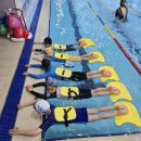 최강 백호 태권도장 이미지