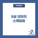 박물관옆동물병원 이미지