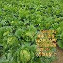 웃말농장 이미지