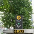 정도너츠앞 Daum카페