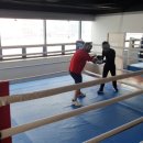 용인대W복싱GYM 네이버블로그