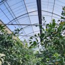 시은농장 이미지