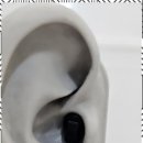 독일보청기 이미지