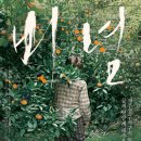 삼다도옥돔 이미지