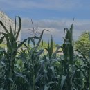 재림농장 이미지