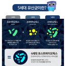 짱구농장 | SBS 동물농장 영양제 벨라맥스 유산균, 짱구 먹여본 후기