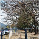 낙안초등학교 이미지