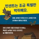 [북멘토 어린이 문학(초등 저학년) 신간+활동지 포함] 유령 박쥐 빈센트와 친구들~ 가자! 유령의 세계로! (아직 못갔지만...) 이미지