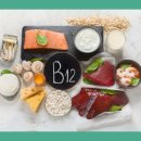 비타민 숲 이미지