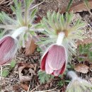 대구광역시 북구 어울아트센터 이미지