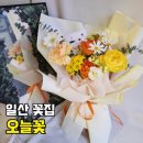 원당 꽃집 오늘꽃 일산 꽃다발 졸업식 꽃 추천 솔직 후기