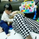 서하목장 이미지