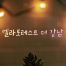 엘라포레스트