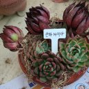 창북초등학교 이미지