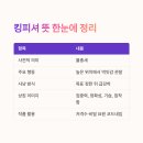 코드네임 네이버블로그