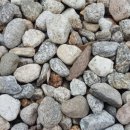 화성스토리태권도장 이미지