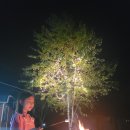 레인보우펜션 이미지