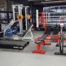 이은혜 복싱클럽 이미지