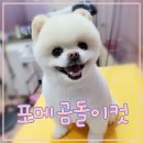 이쁘개 아름답개 이미지