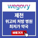 제천 위고비 처방 병원 최저가 약국 가격 비교 가장 싼 곳 후기