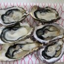 한바다횟집 이미지