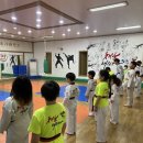 태권도장 채움 이미지