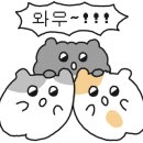 스테노커피 이미지