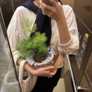 핏어팟(pit A pat) 이미지