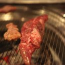 고기바보 이미지