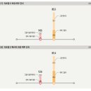 베룸마케팅