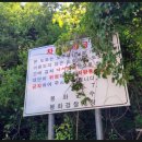 소천로 네이버블로그