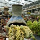 샤론농장 이미지