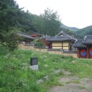 휴양림로 이미지