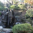 초원랜드 이미지